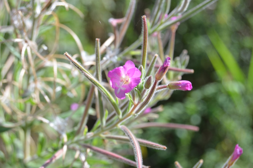 No s'ha trobat l'arxiu